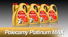 Polecamy Platinum MAX